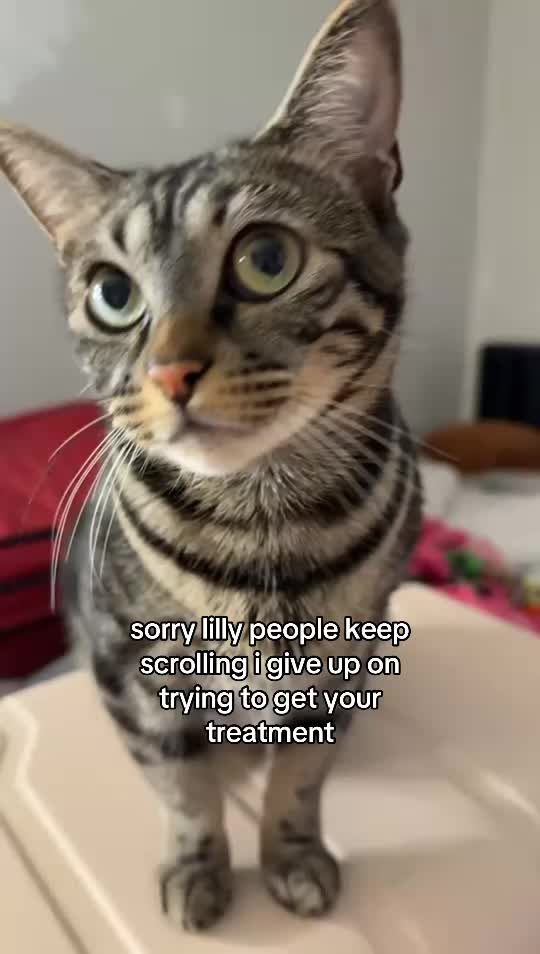 @Olivia