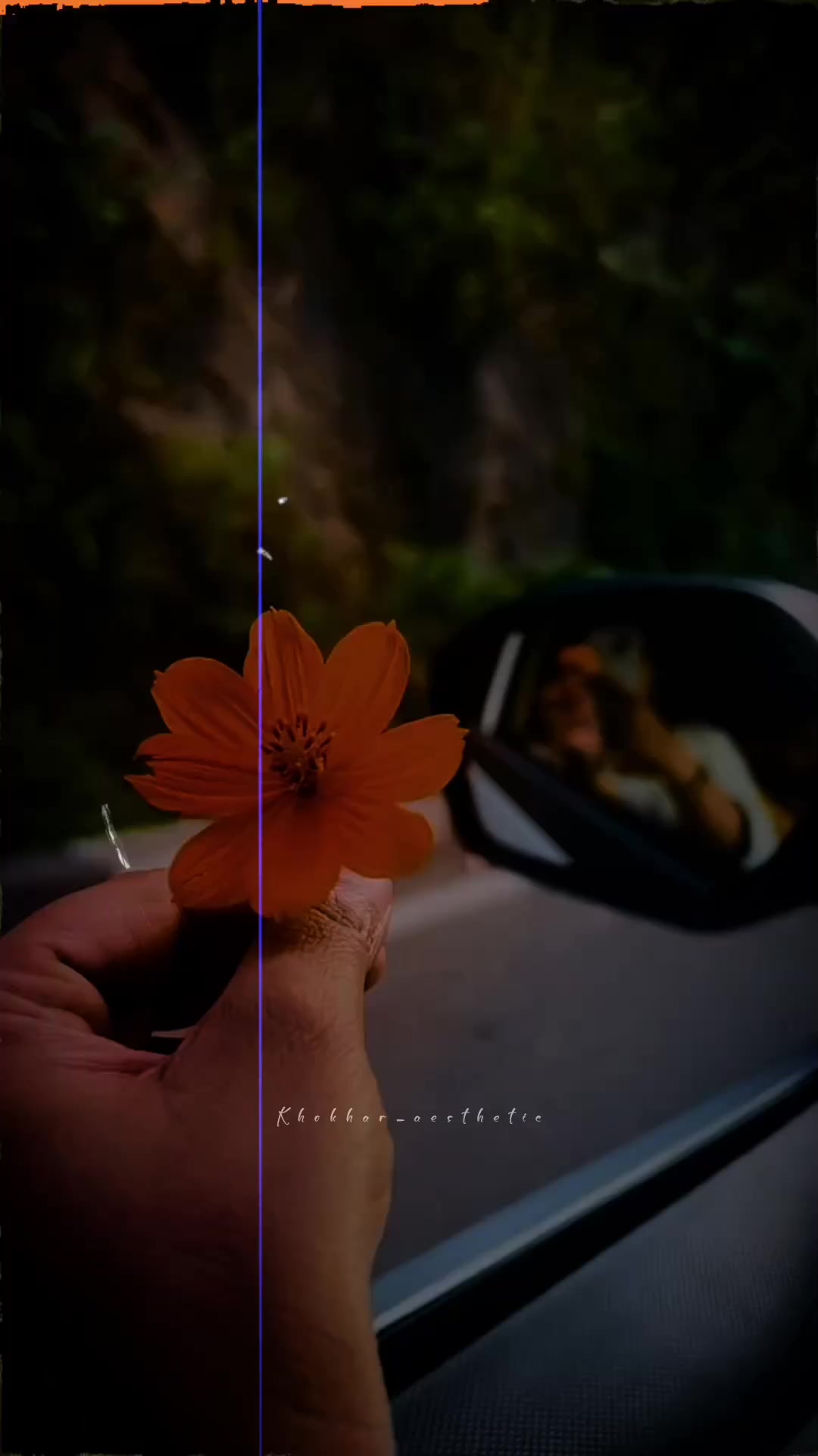 @✦𝑫𝒆𝒂𝒅 ♡ 𝑺𝒐𝒖𝒍𓂃═════💔