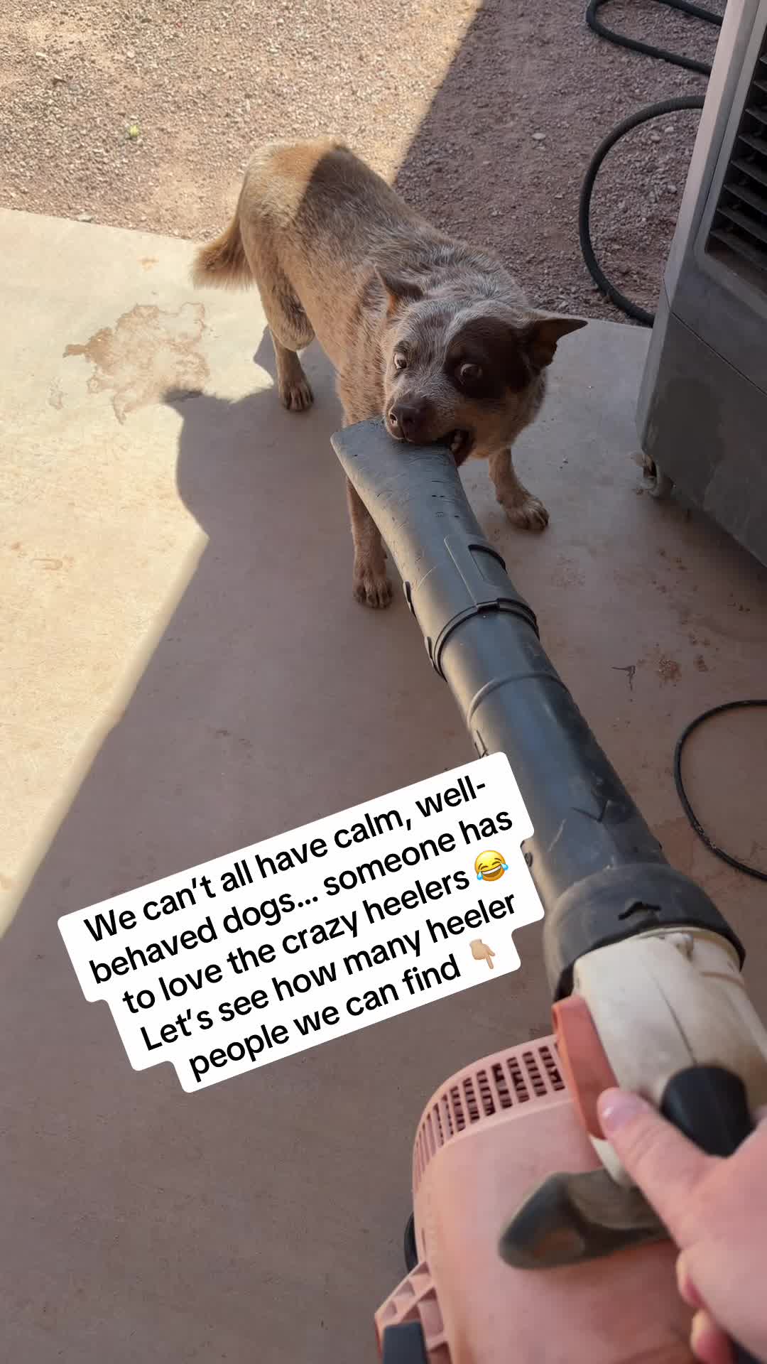 @DesertMamaAshley🌵🏜️