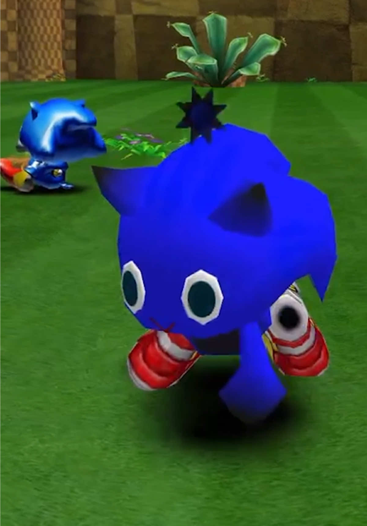 @Chilling with Chao