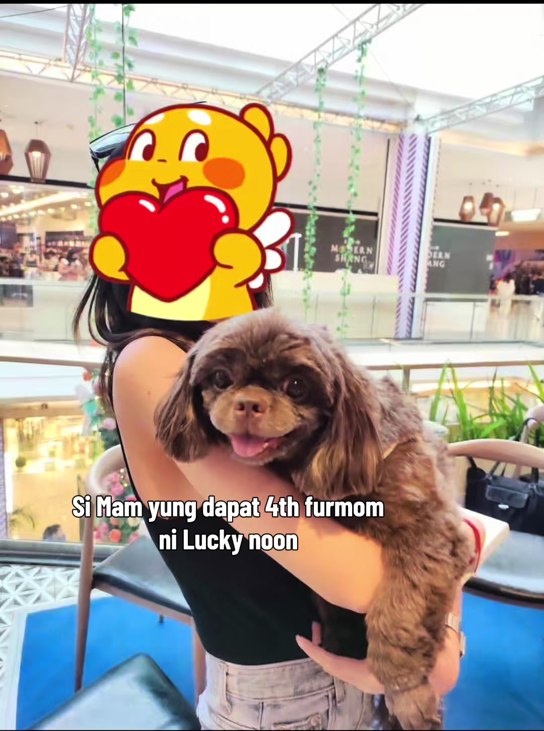 @Nella and Lucky the Shih🐶