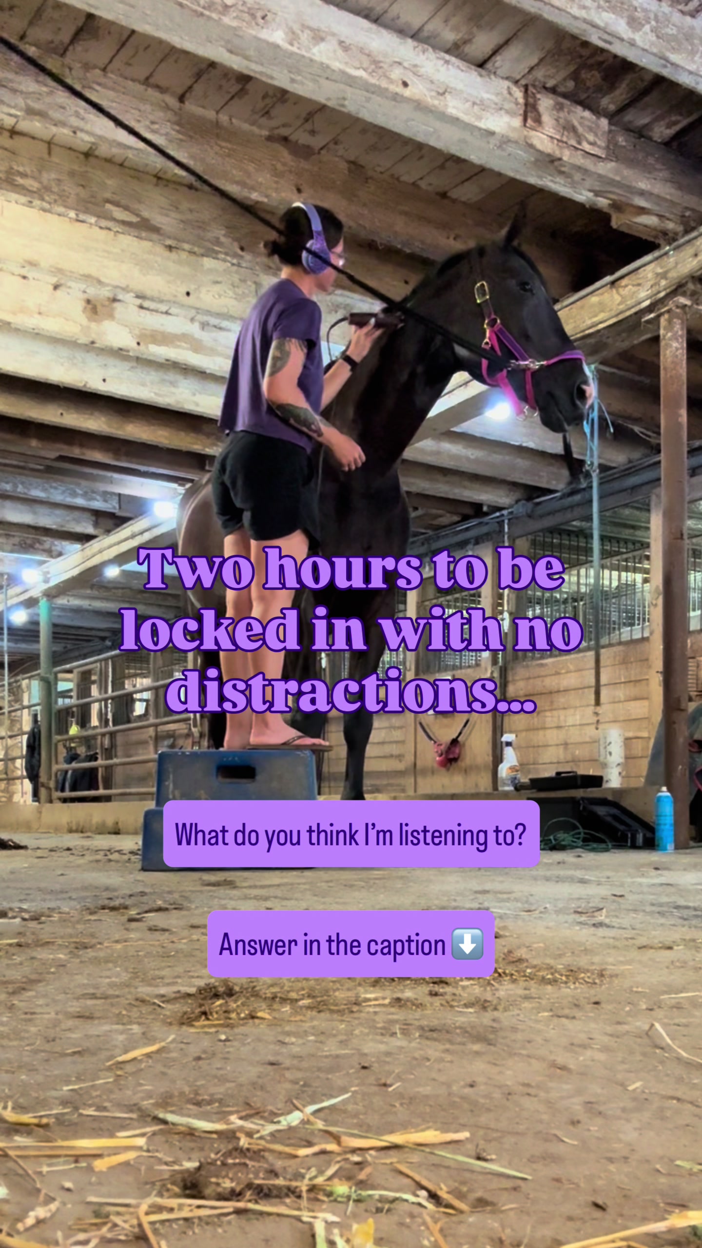 @Equestrian |🦄 Mom
