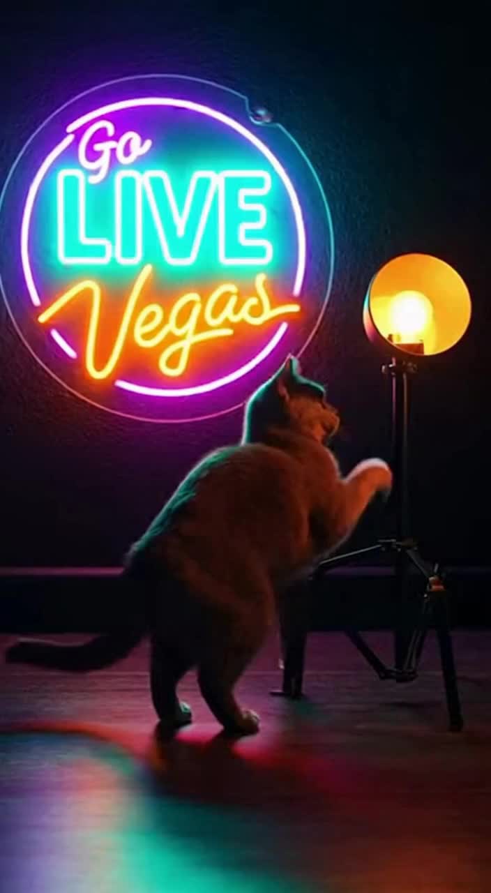 @Go Live Vegas