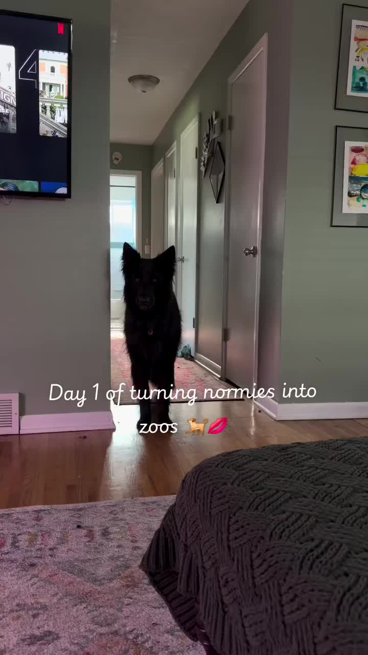 @🦴ZOOMFIE!🦴