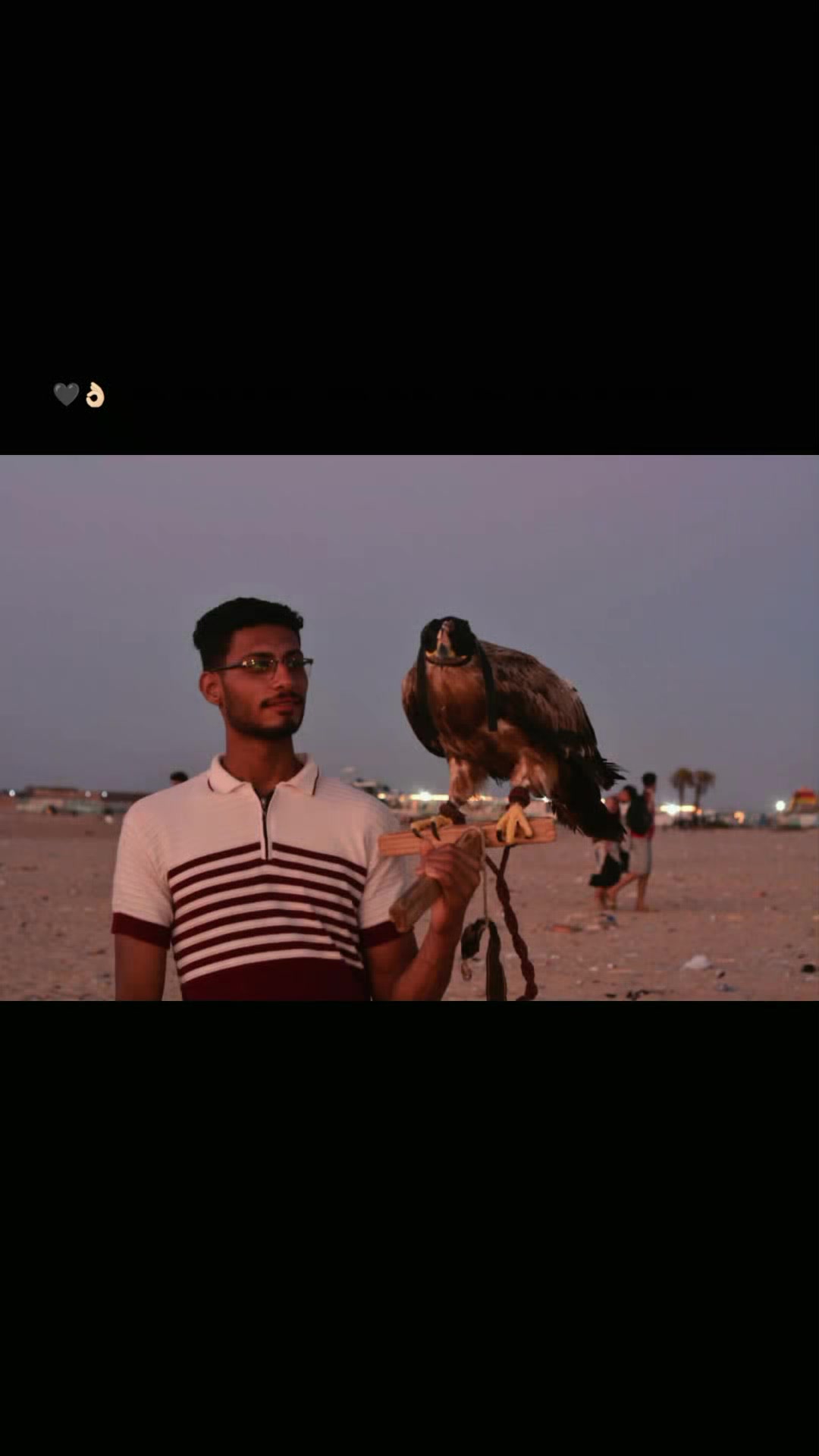 @محمد المنسي