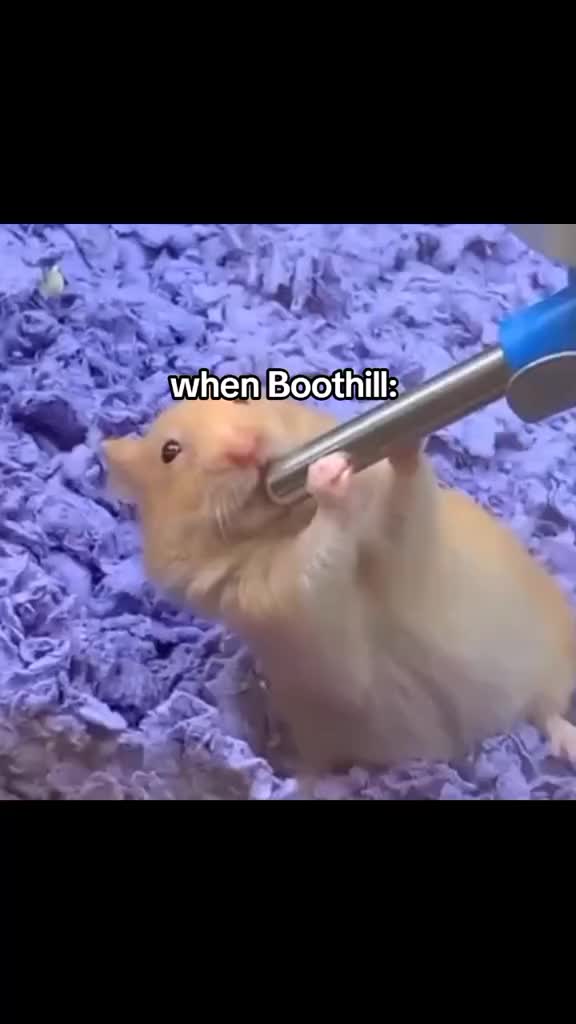 @kunnichh