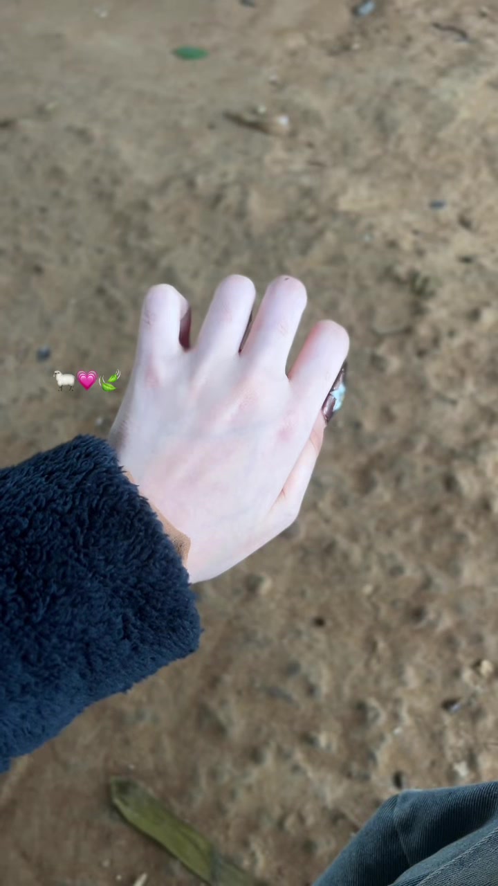 @Ÿusea๐ฆฆ