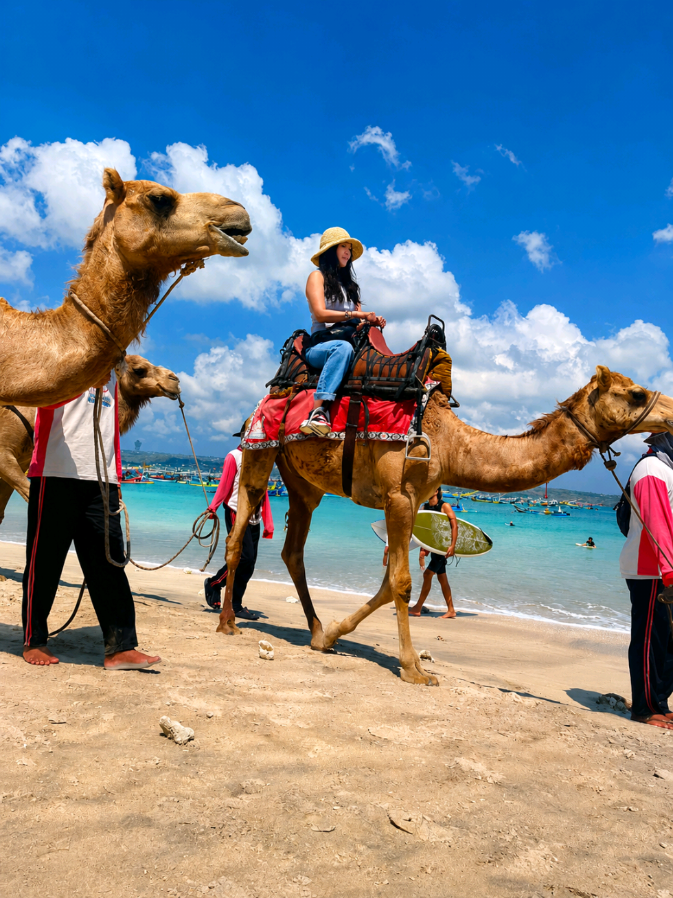 @Bali line tours