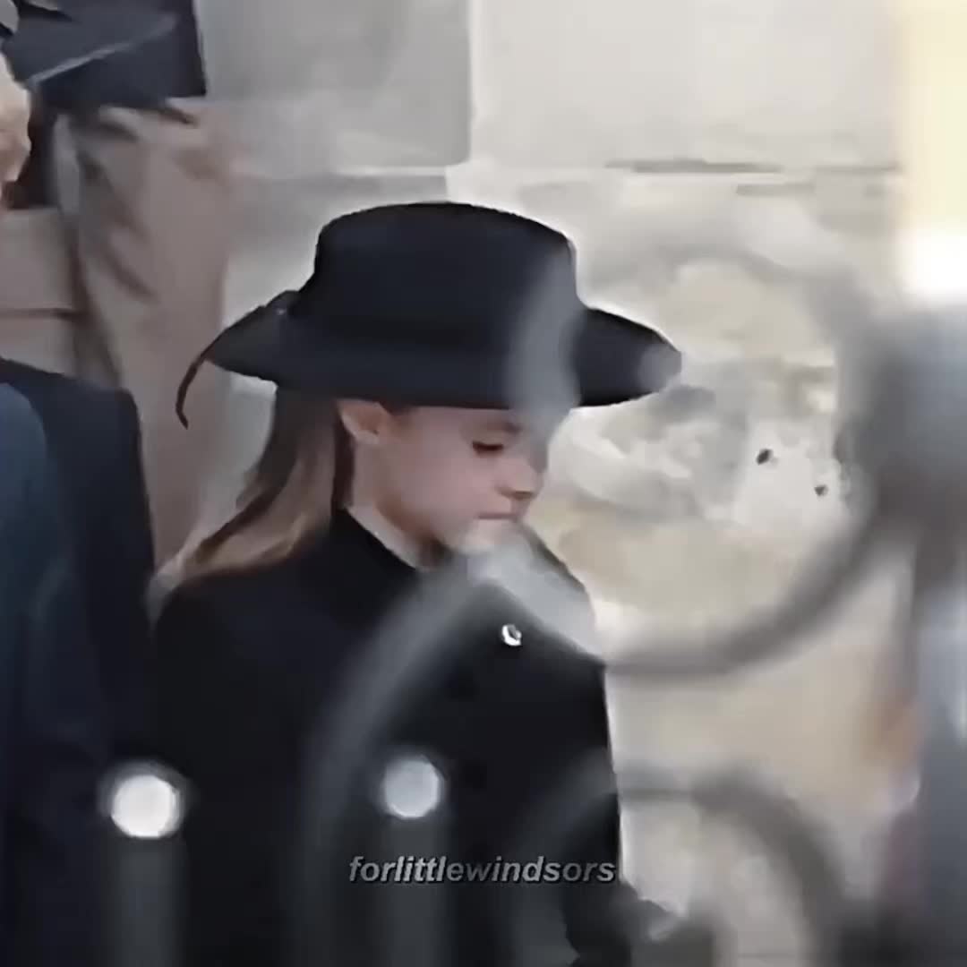 @𝐑𝐨𝐬𝐞 *⁀➷