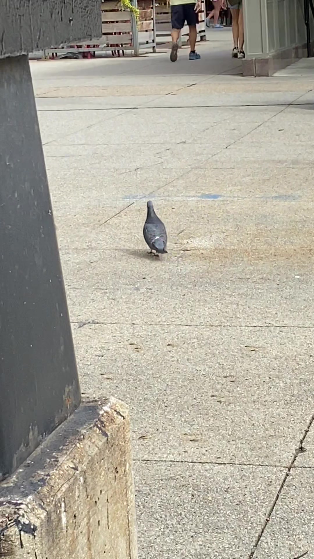 @𝘎𝘤𝘧𝘢𝘮🪭