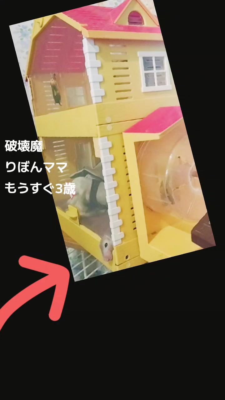 @ð¿ãããããð¿è¬èð¿