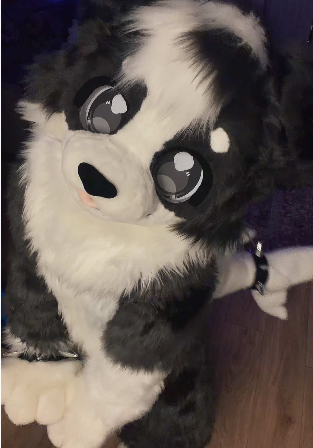 @fish