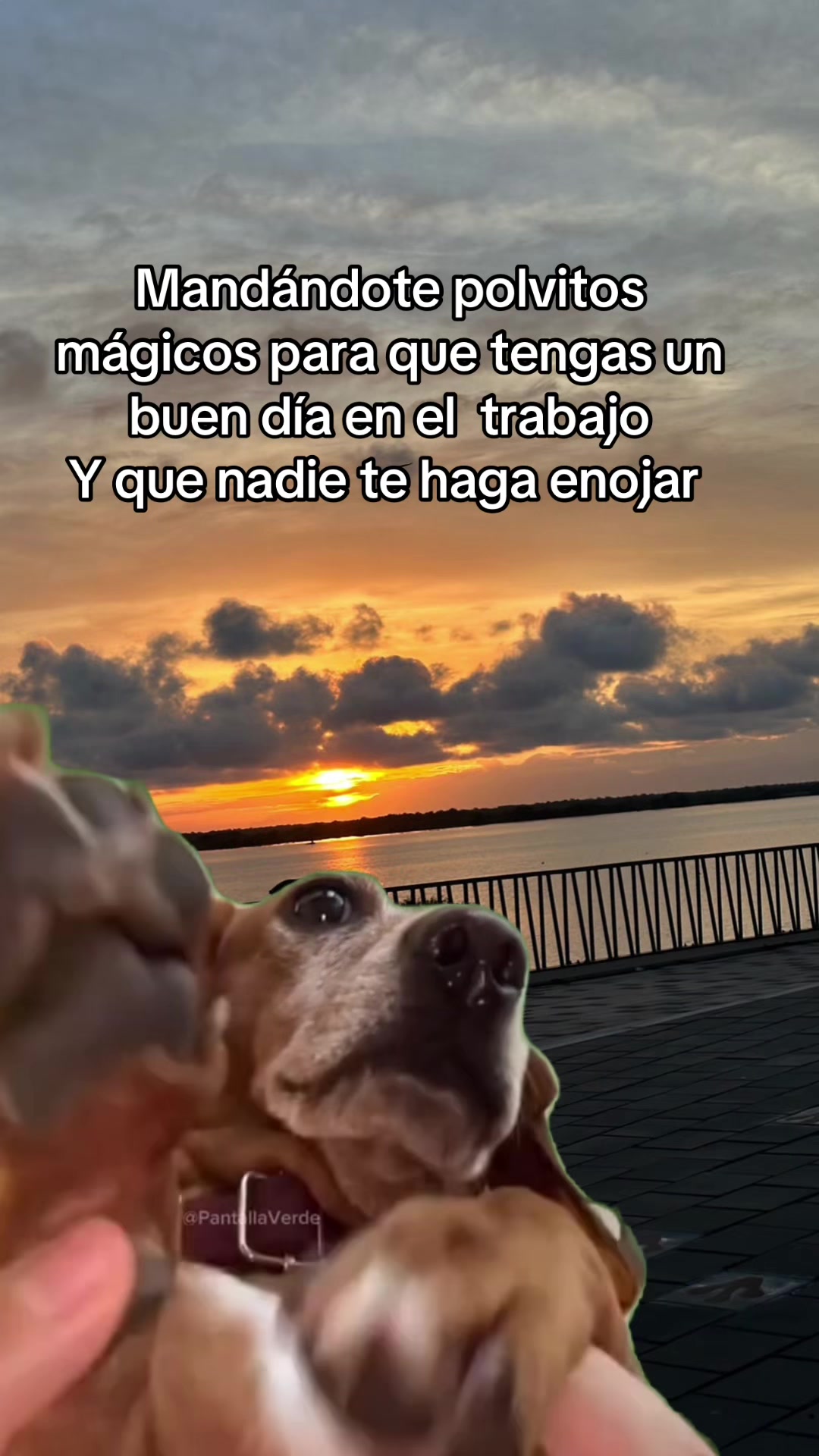 @LUZ RUEDA