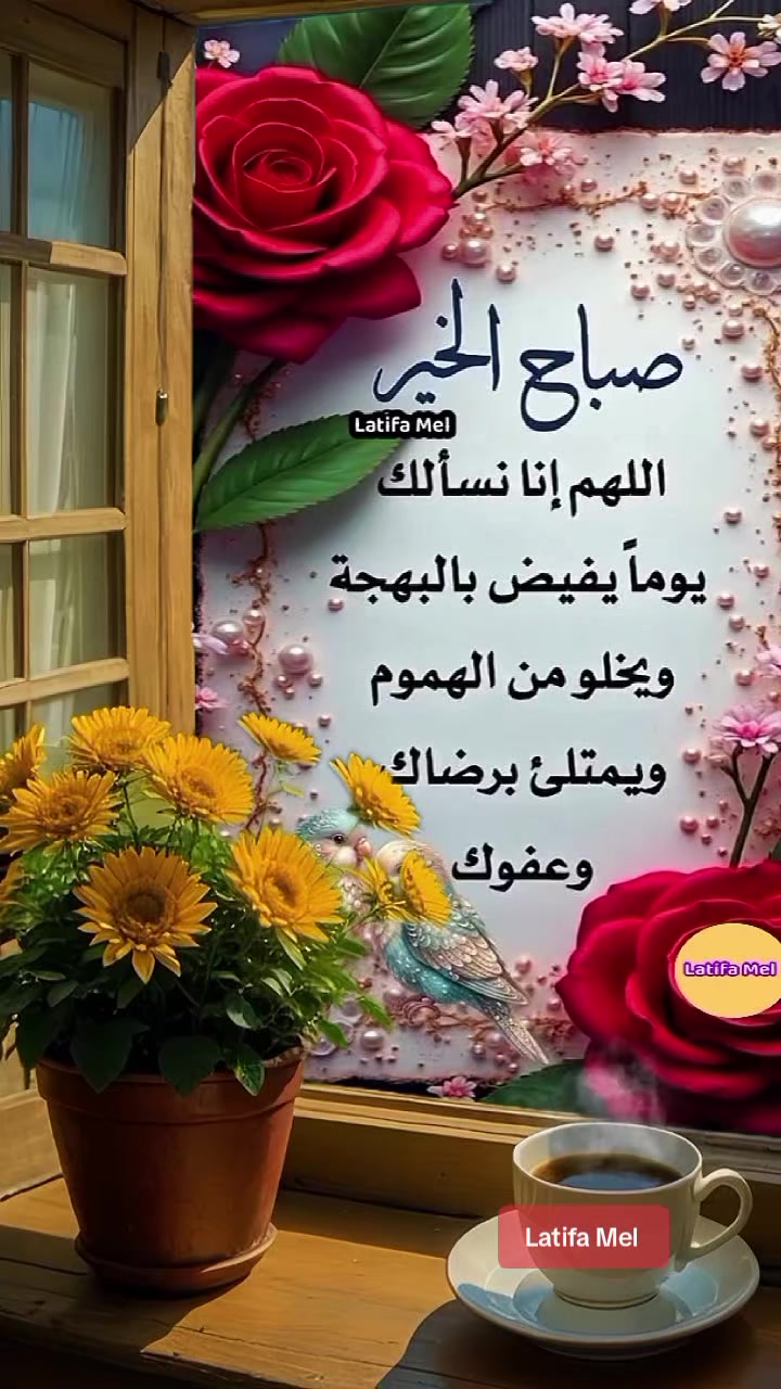 @Latifa Mel