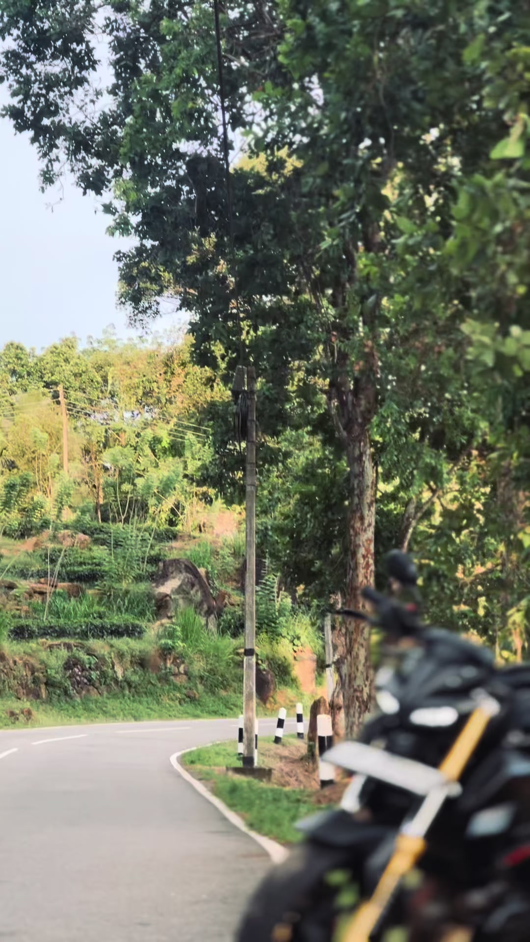 @YN_Sadaru