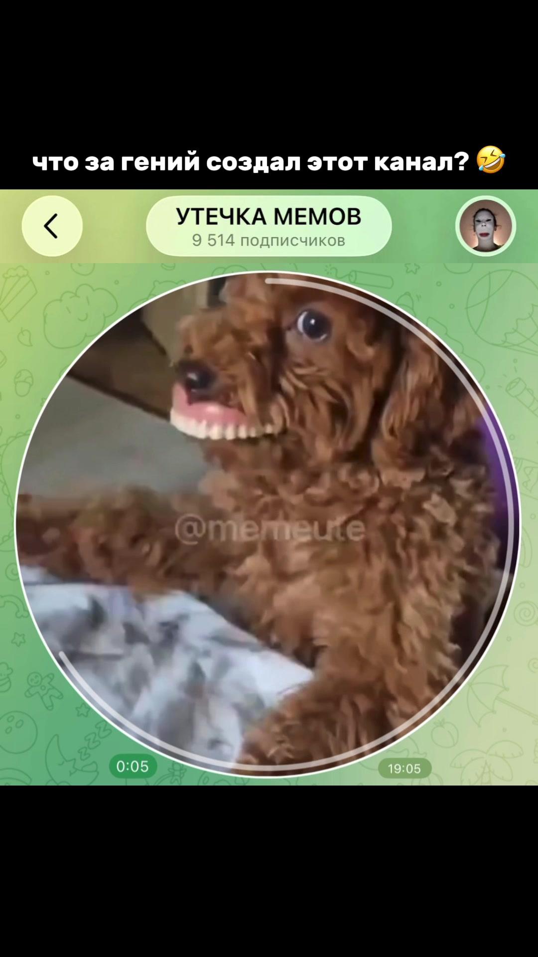 @тгк: memeute