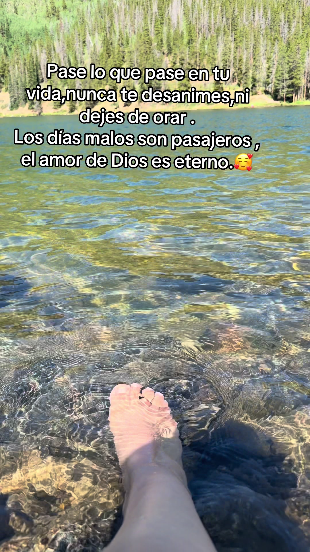 @olic802