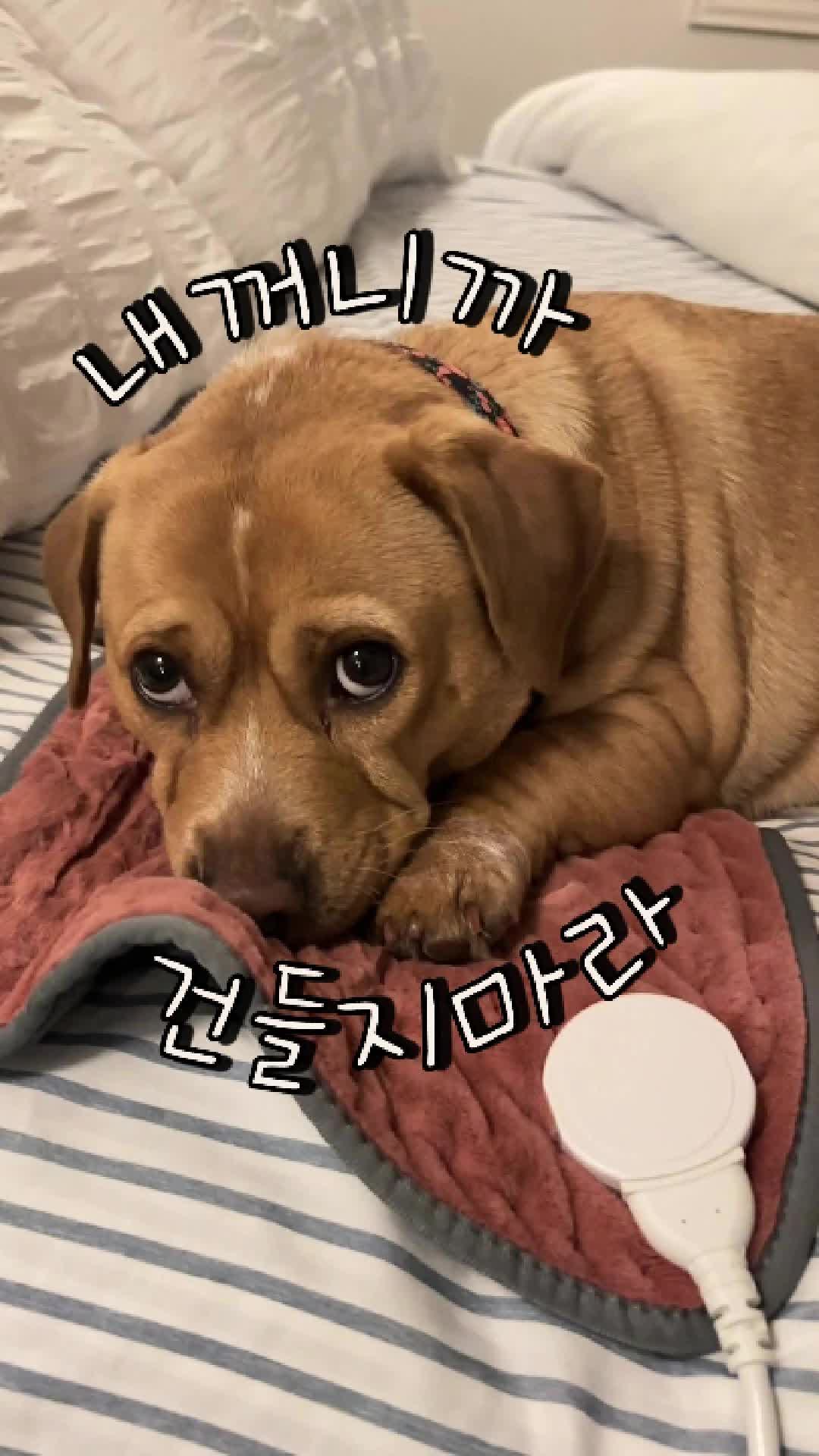 @소사살림퀸