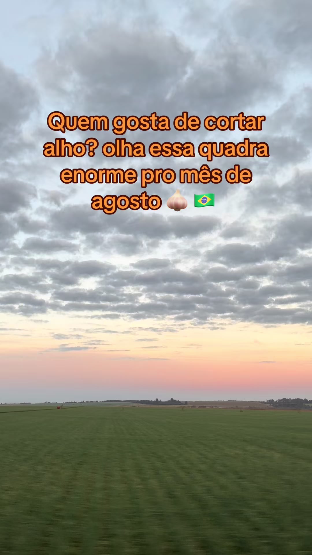 @anne jucielle
