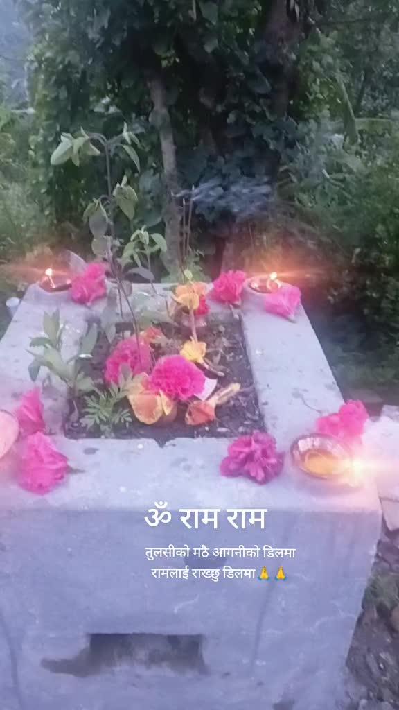 @gitaacharya134