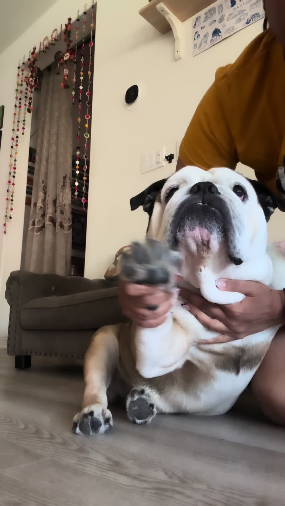@Taco 🐶🧿
