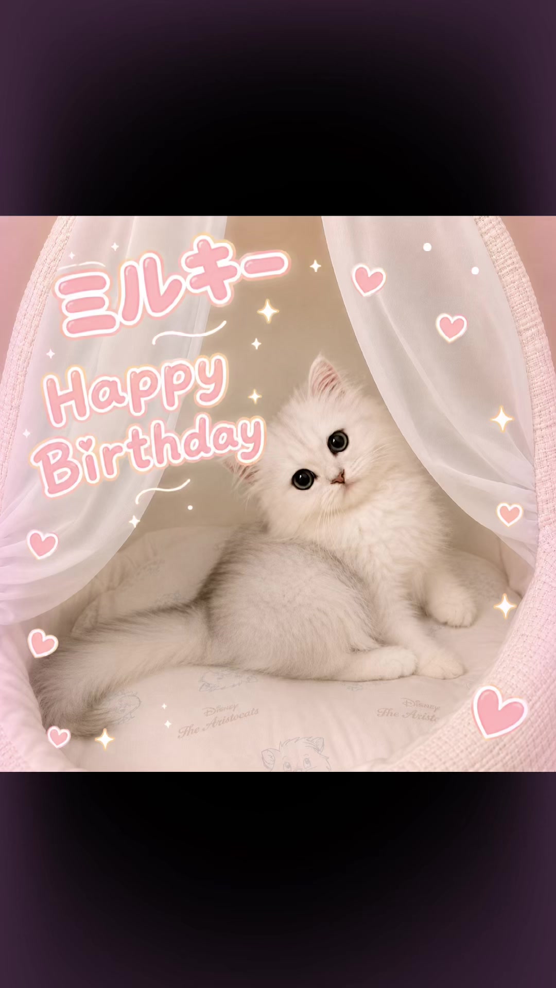 @kagi🗝️neco🐱②