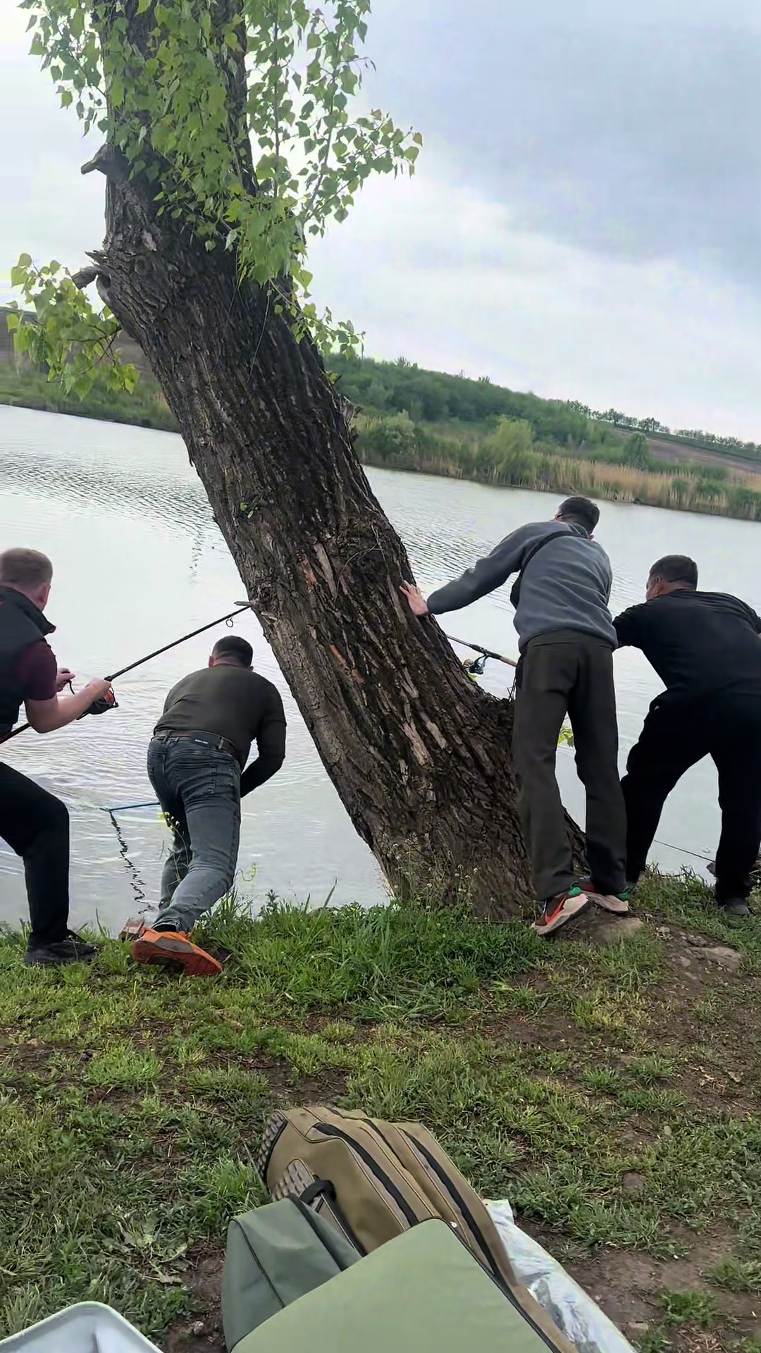@Вася Гуцуляк