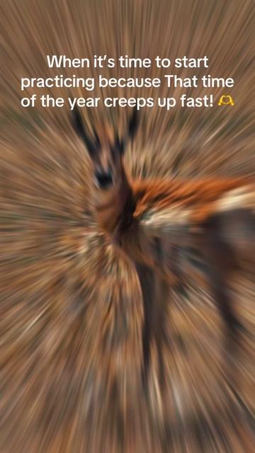 @flor perez