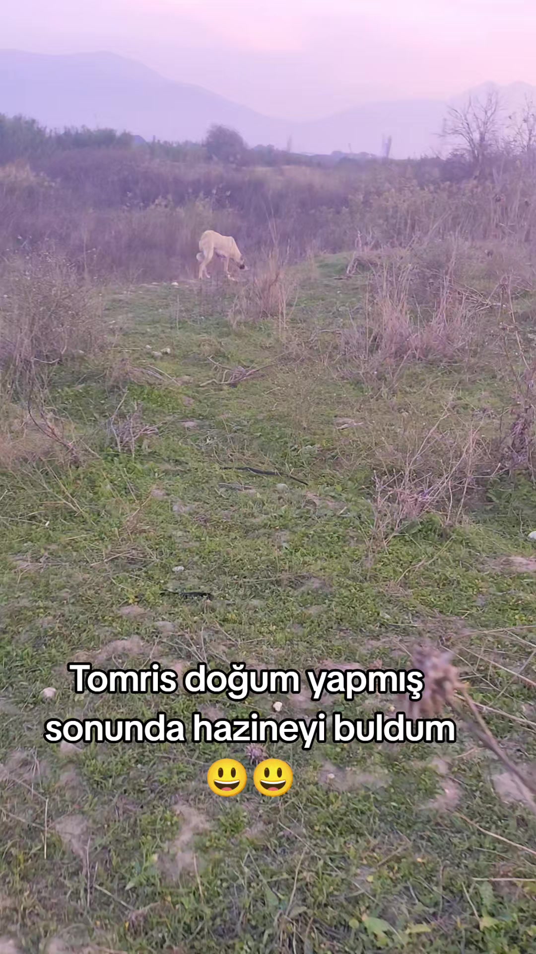 @PİSKO👉TOMBİK{45}