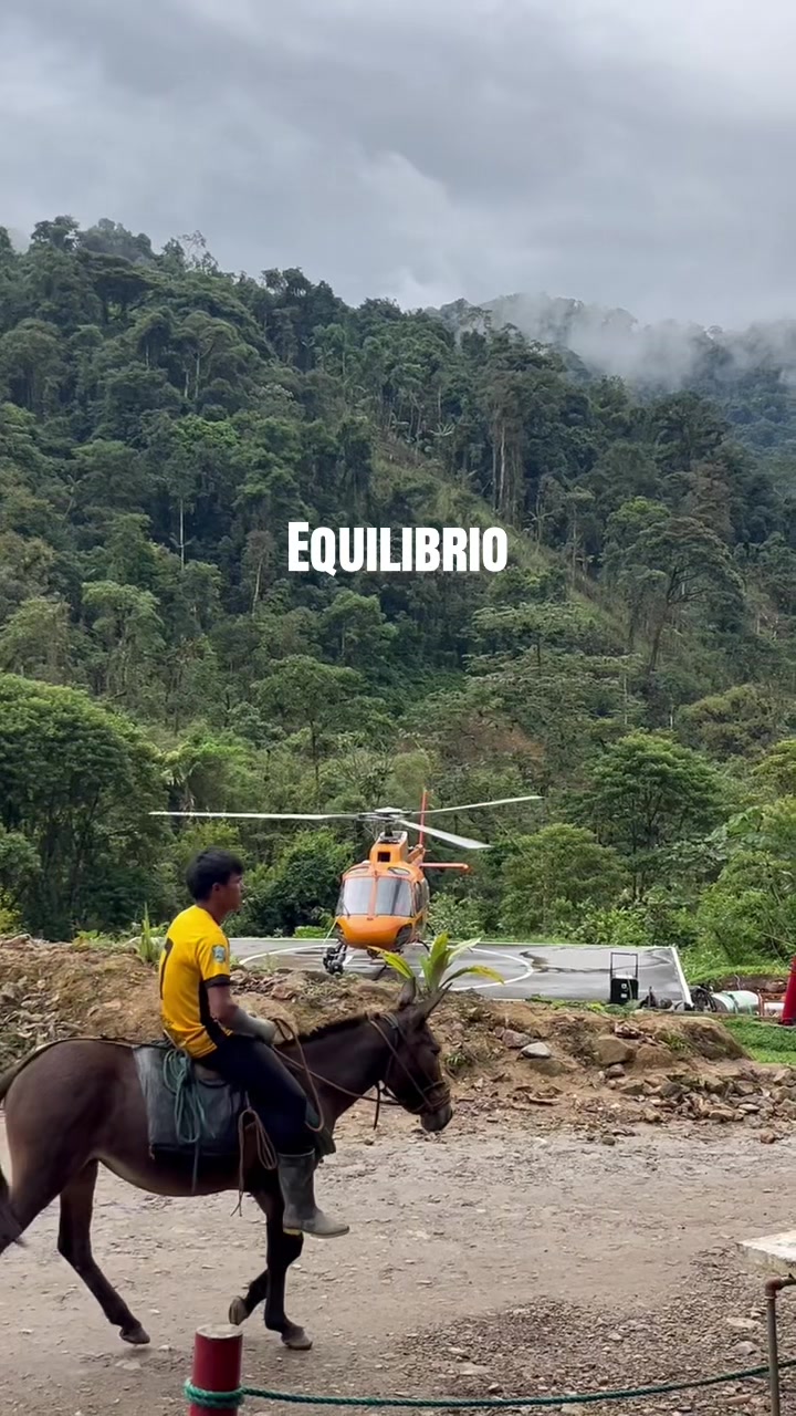 @pao.flores570