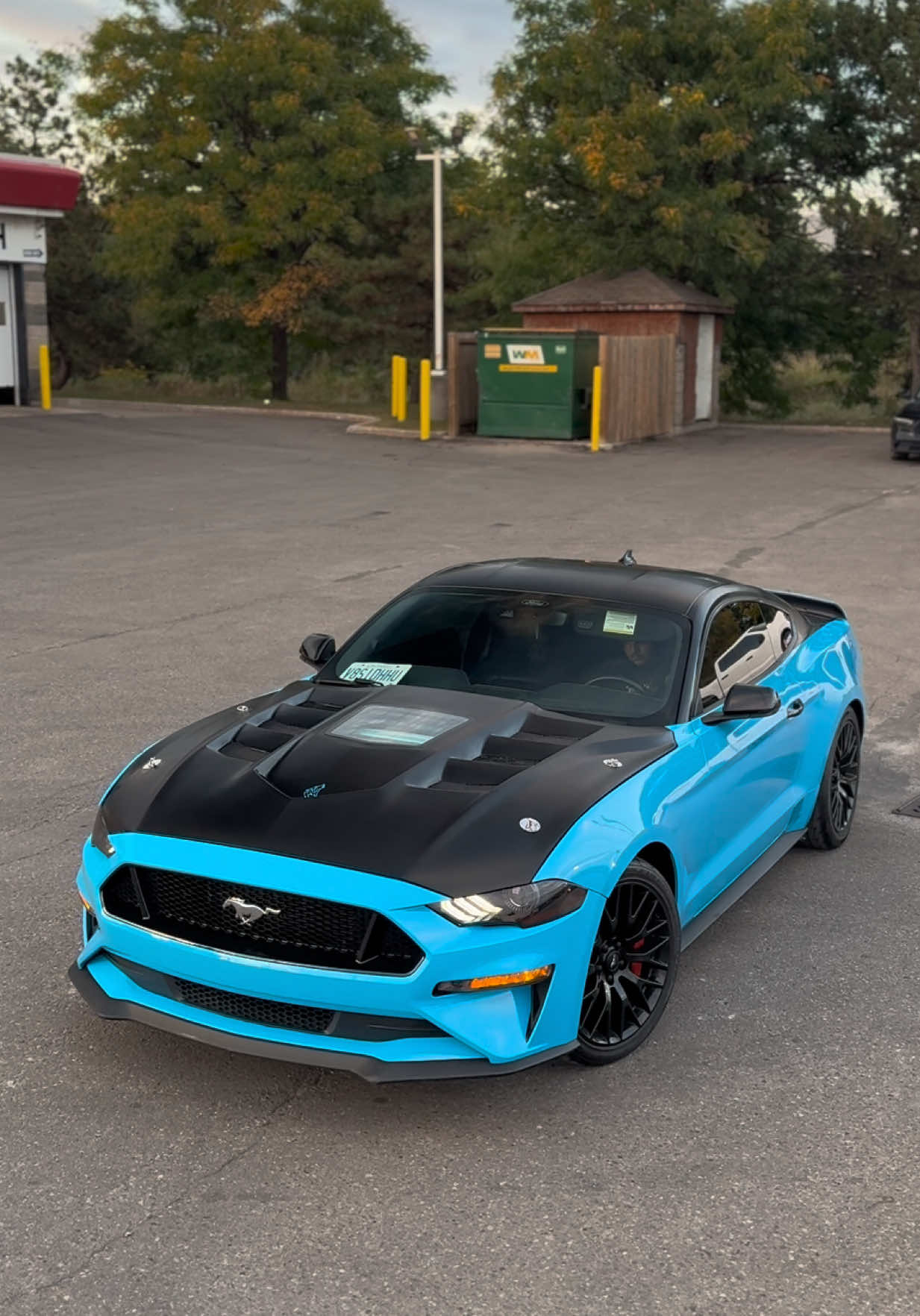 @Mafia_Detailing_Official