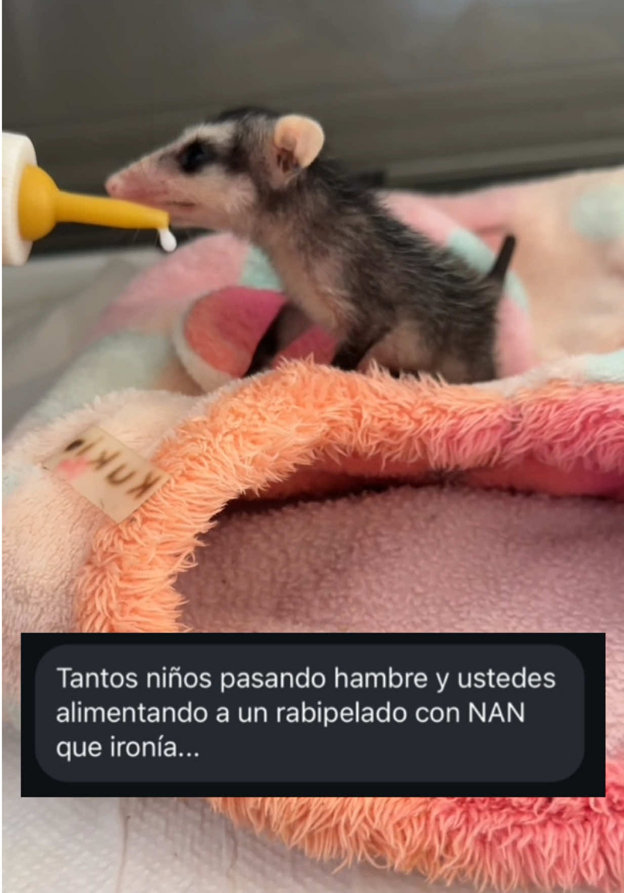 @La Casita del Avestruz