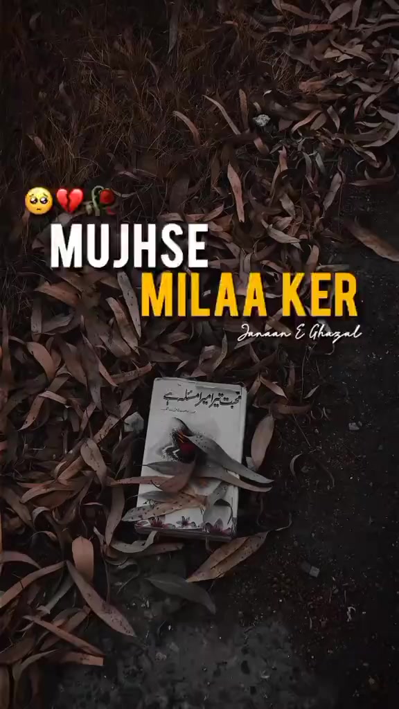 @Taimur Zaheer 🤍