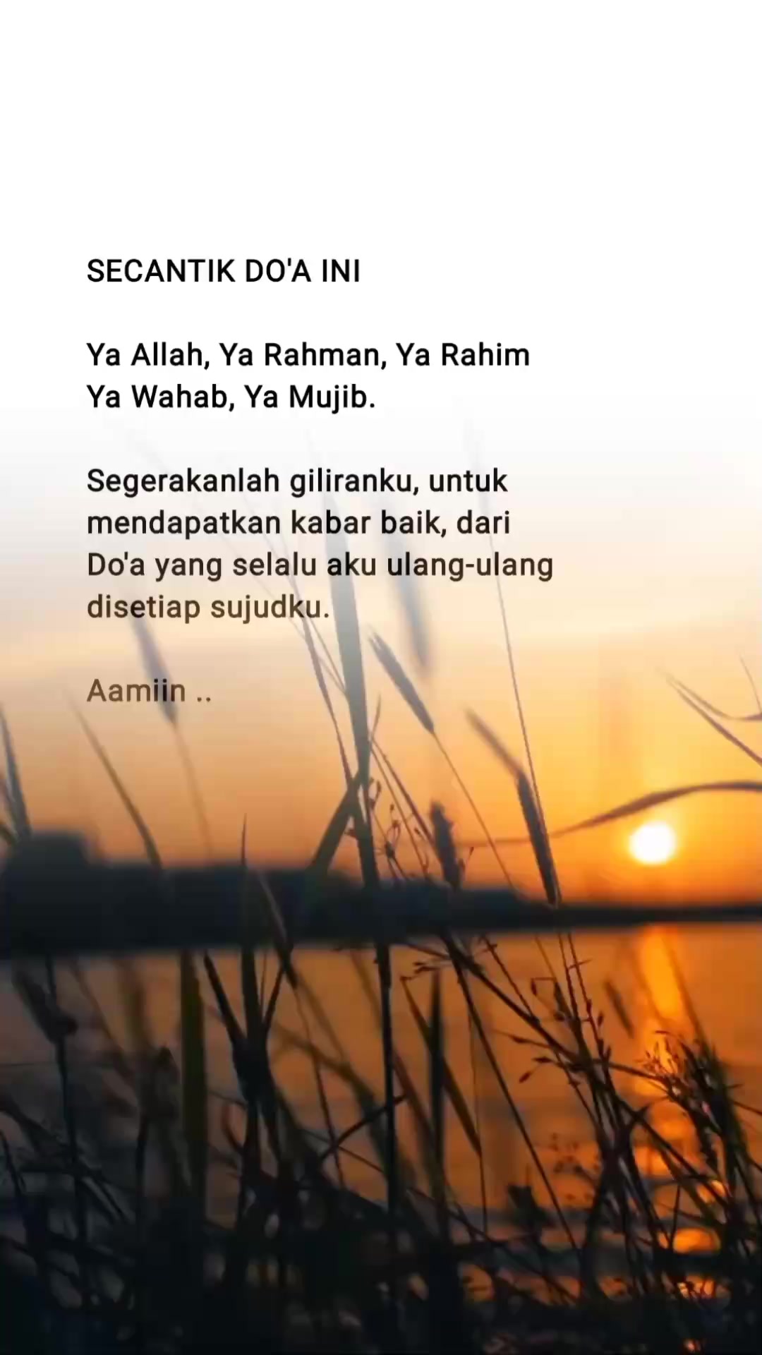 @kamilaitis2