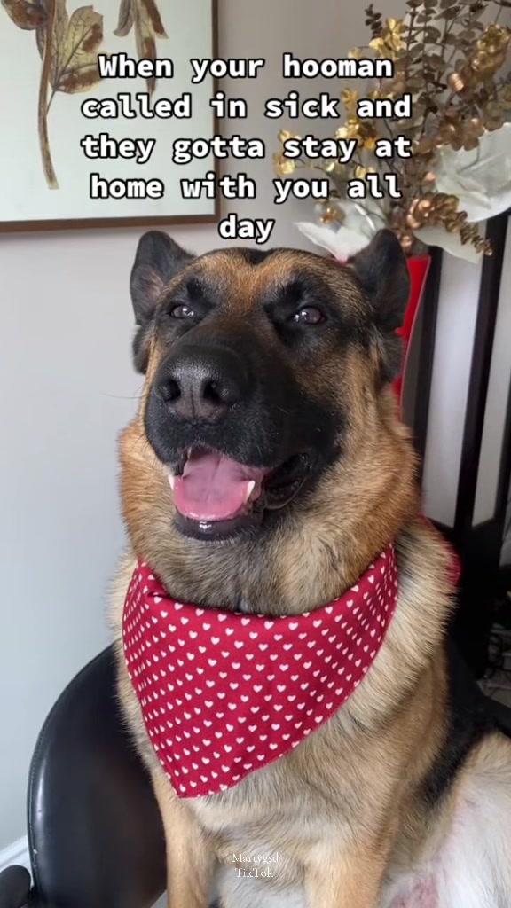 @Martygsd