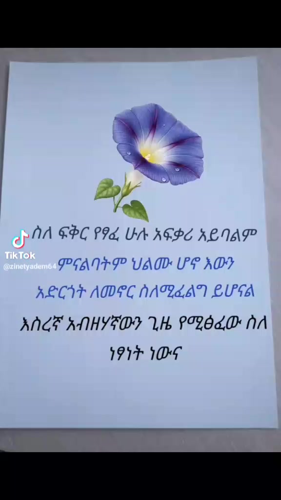 @yayat