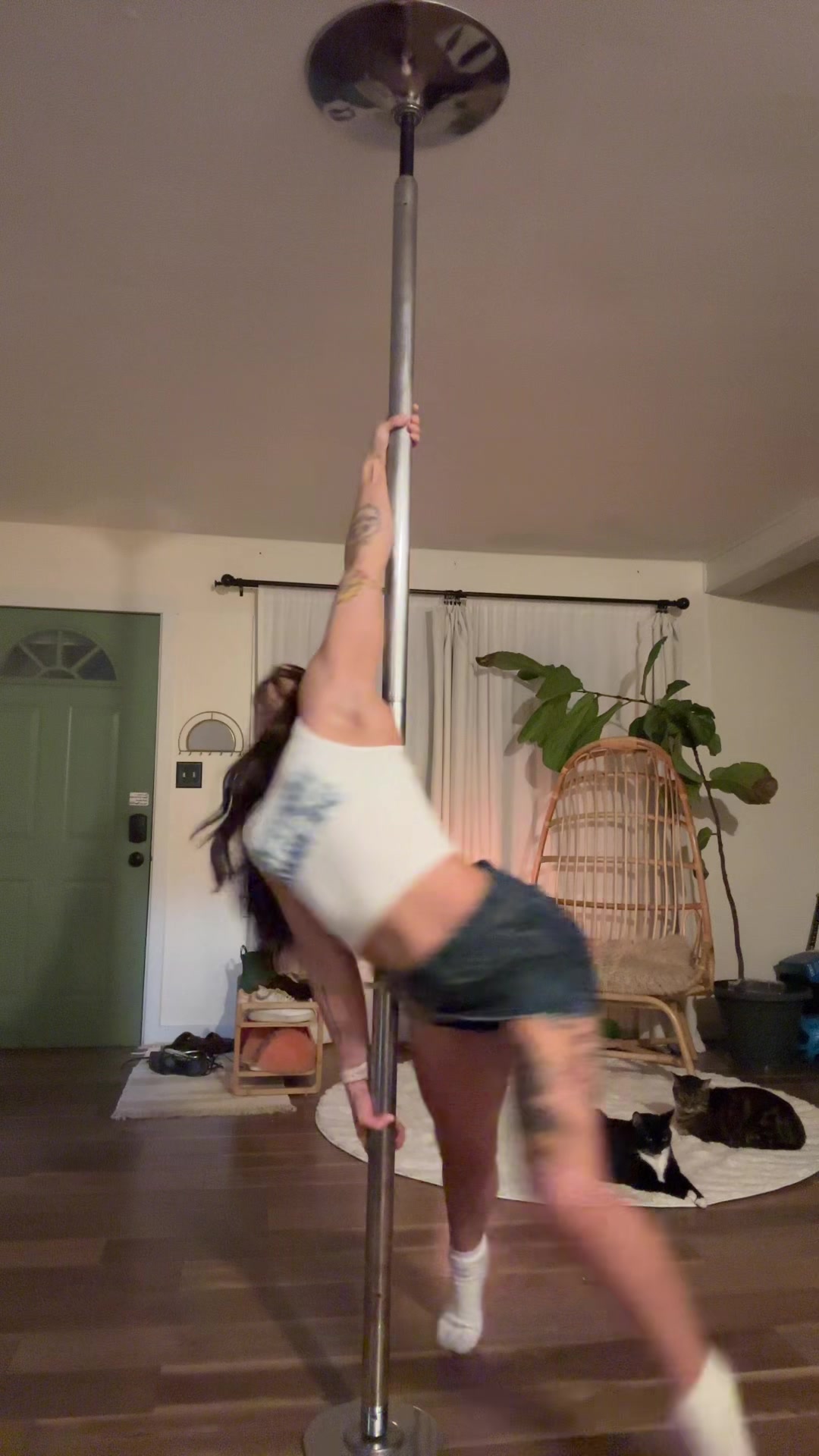 @Hallucie