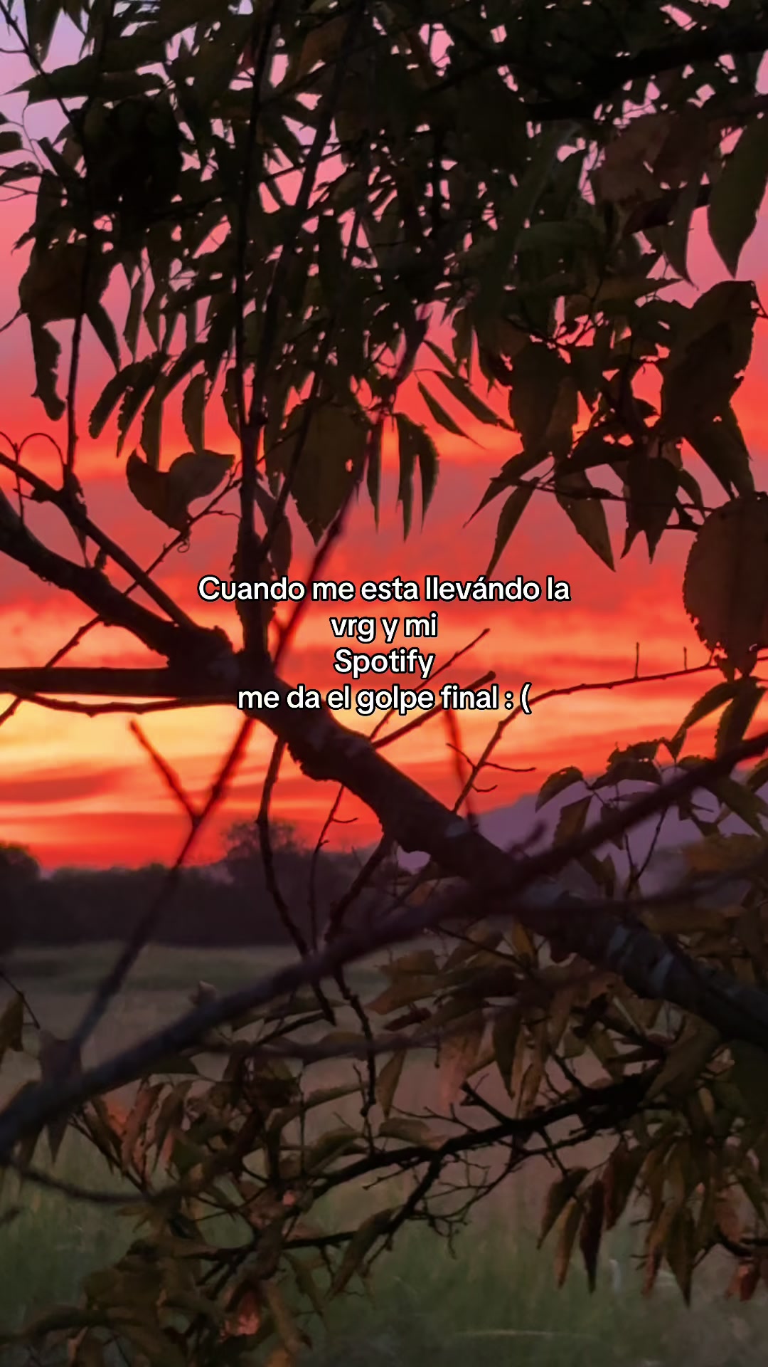 @Dany