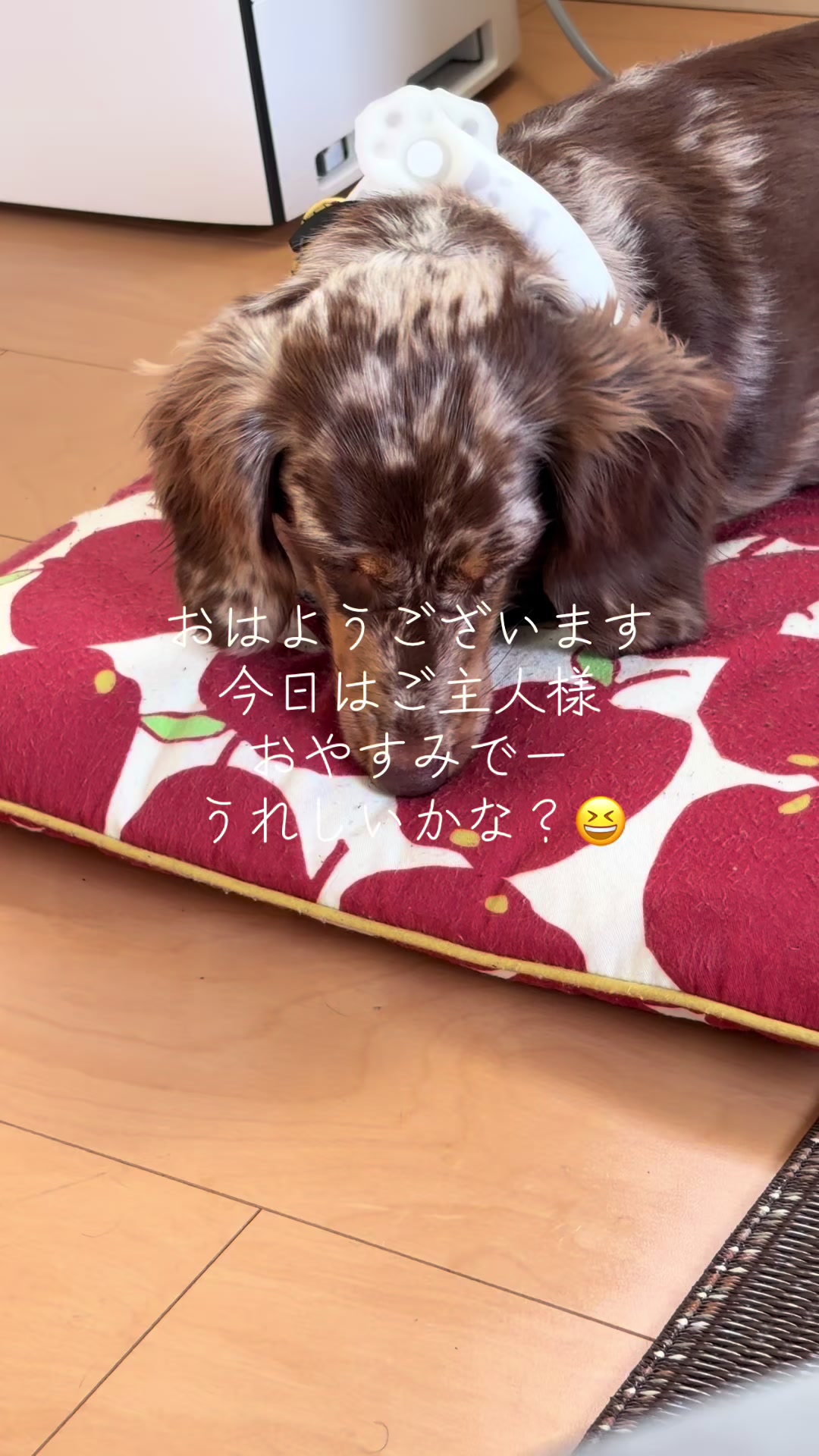 @ケン
