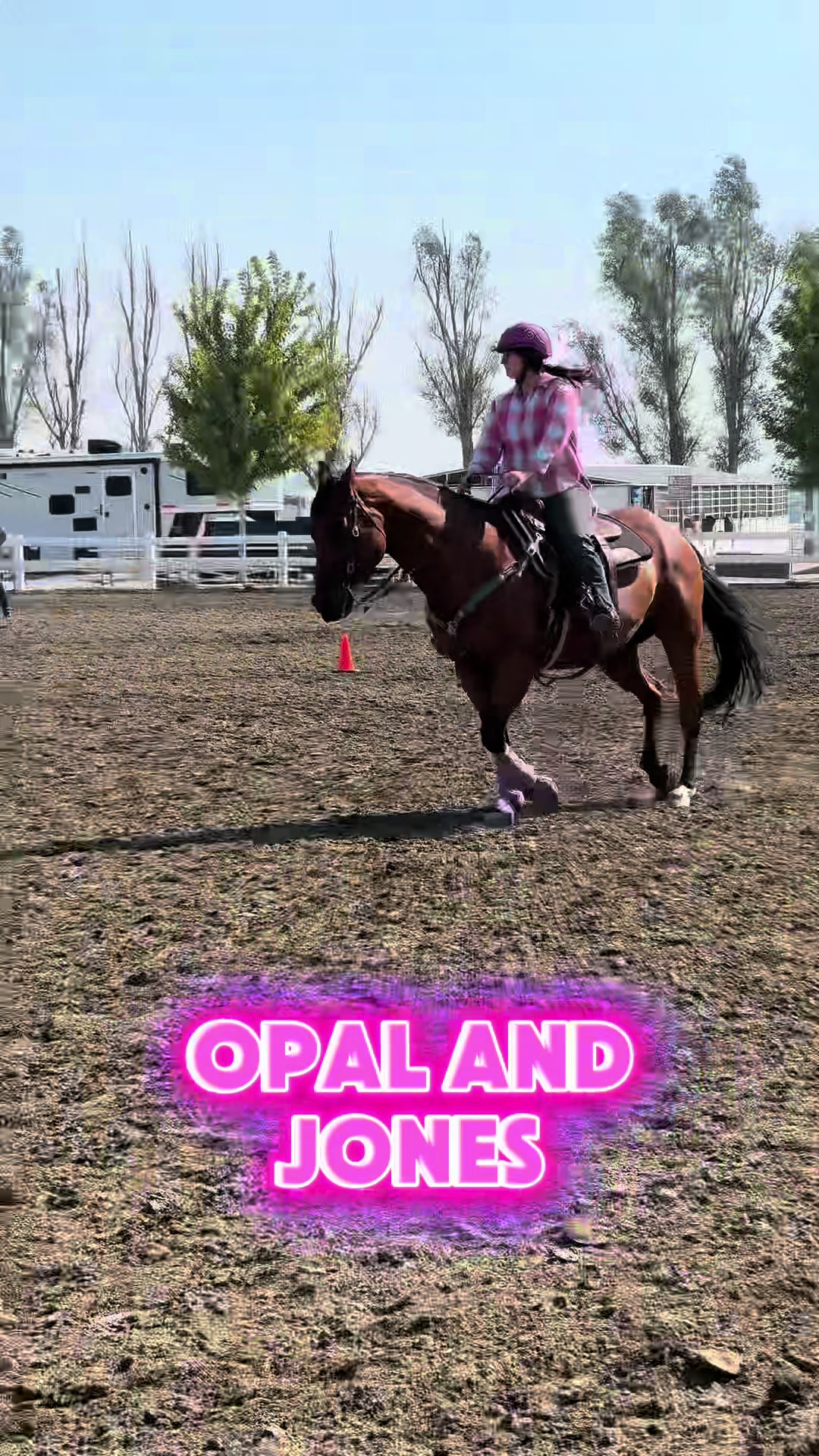 @Supercharge Performance Horses