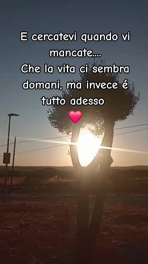 @Silvietta80🩷