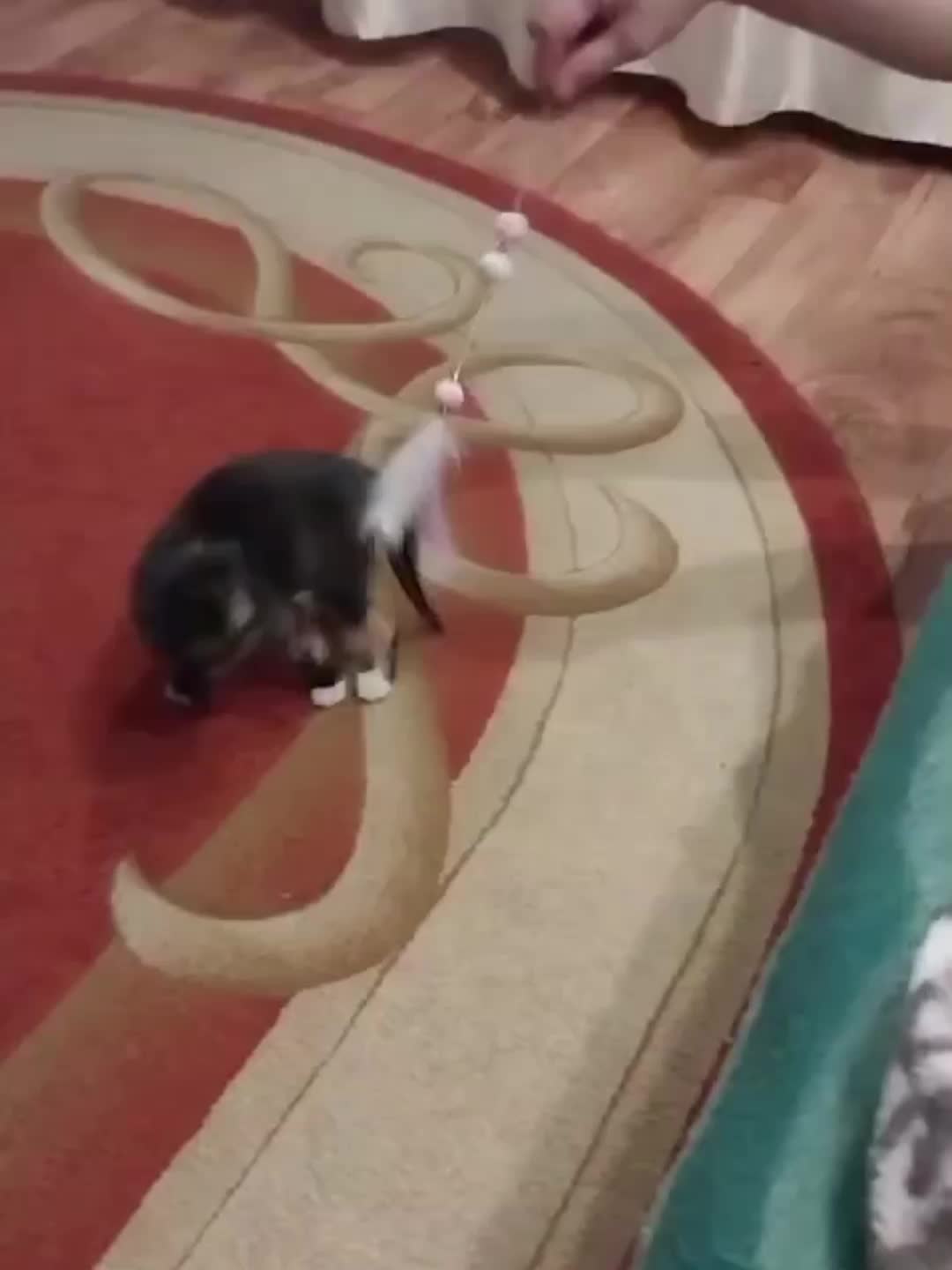 @Verronichka🐆🤍