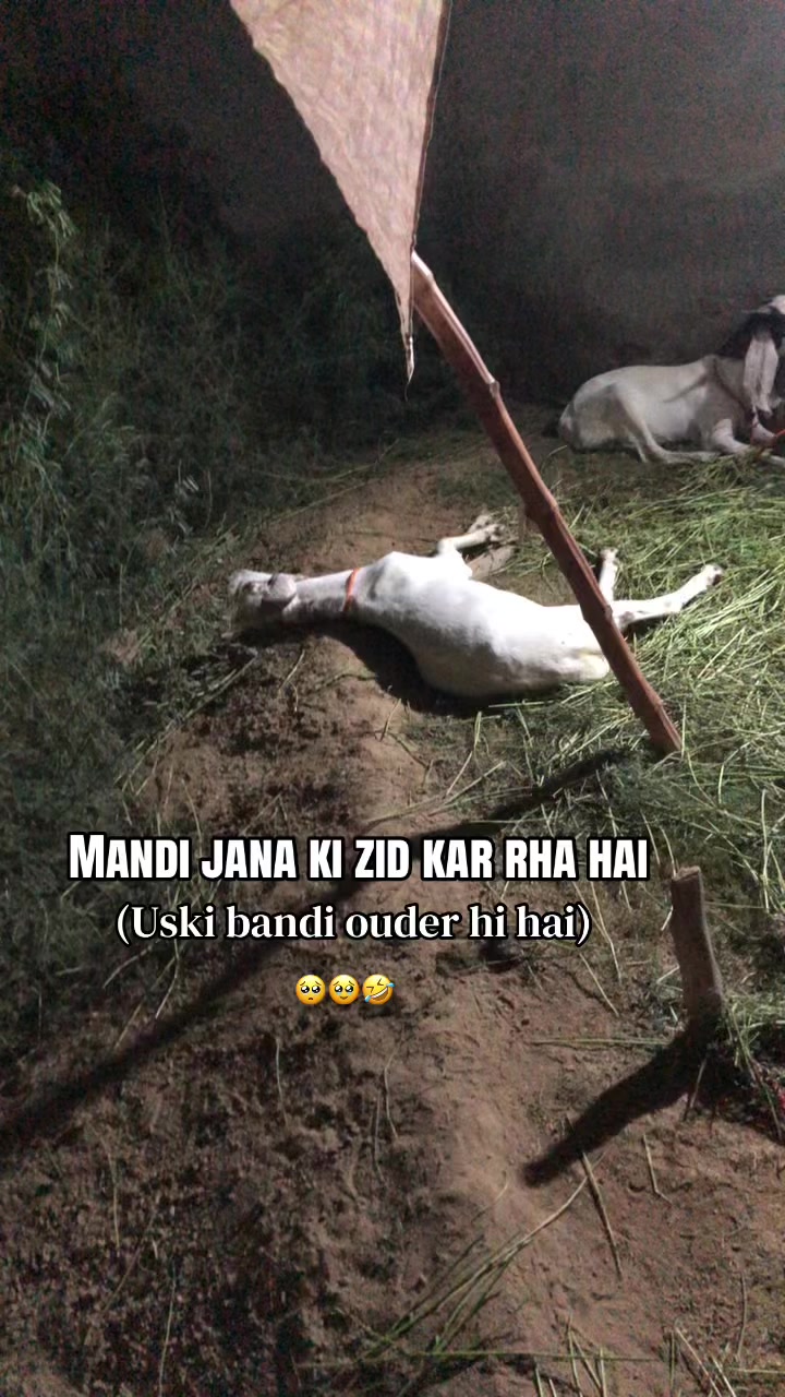 @𝑷𝑼𝑵𝑱𝑨𝑩𝑰𝑨𝑵𝒁 🚩