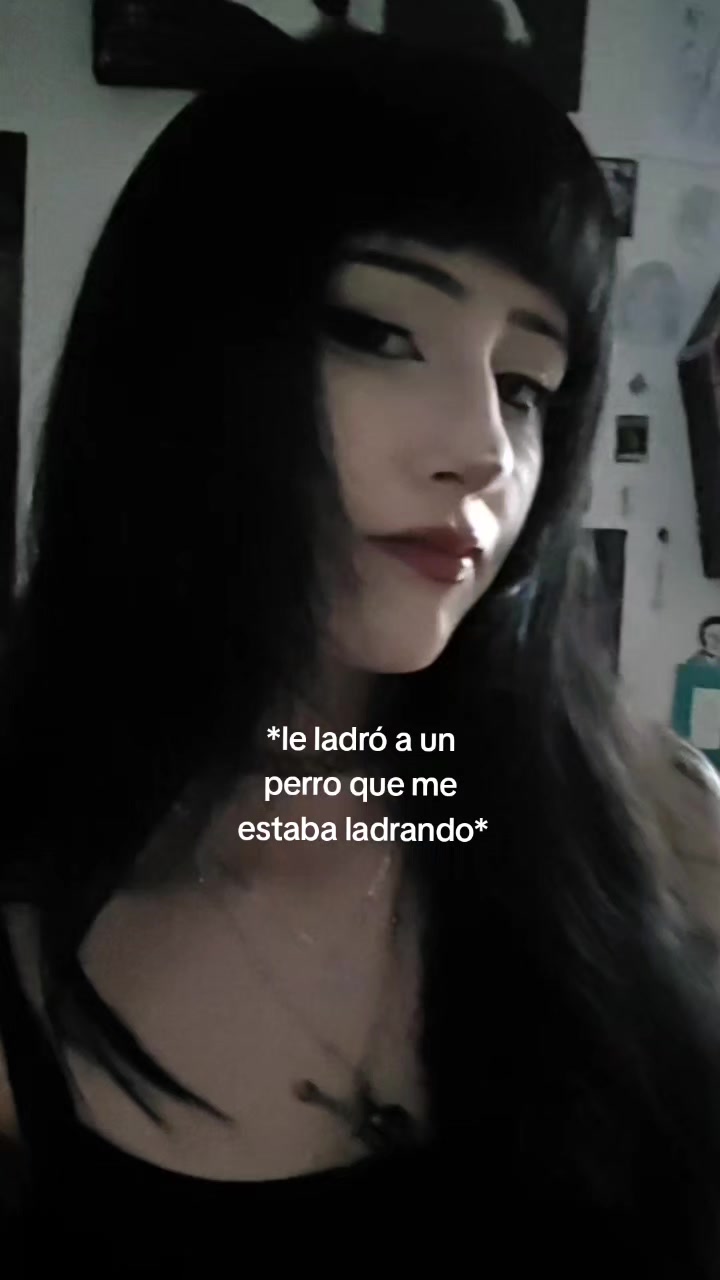 @daanx ☆