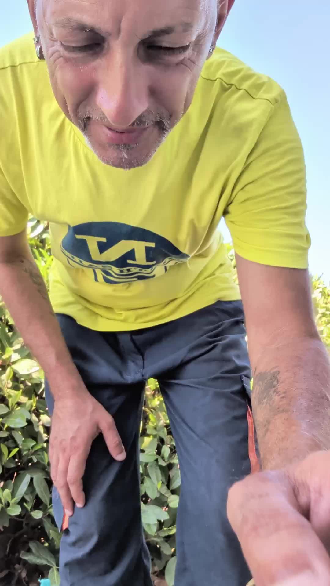 @DiegoVibes