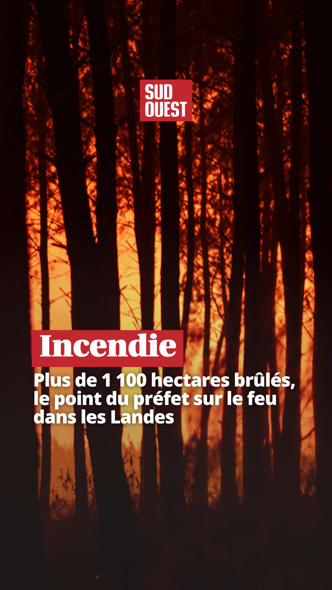 @Sud Ouest