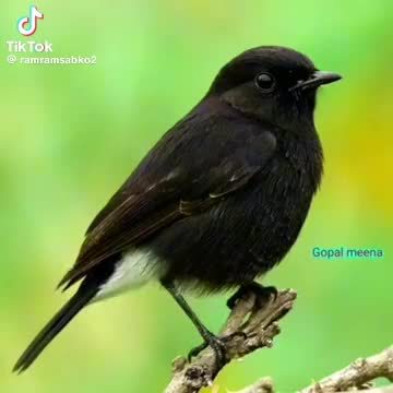 @Rita Ramdas