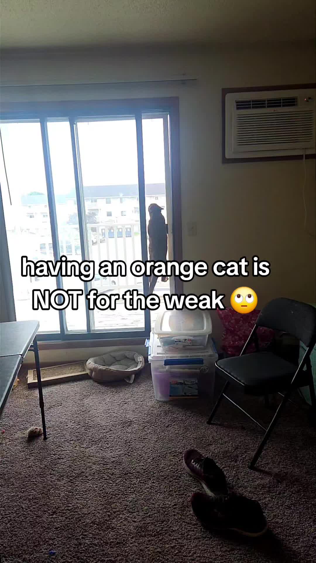 @clairefirary