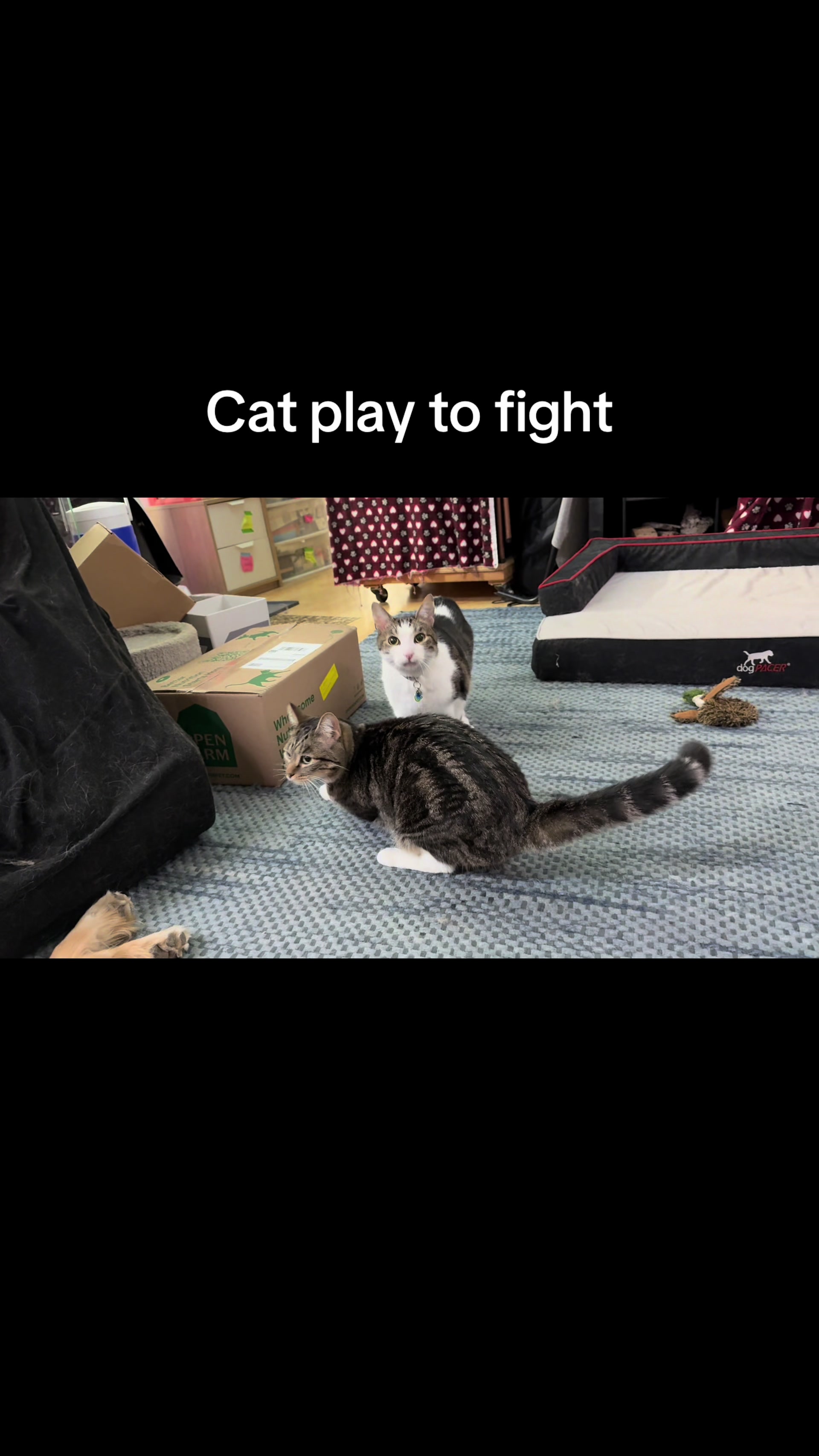 @FlexiblePetSolutions