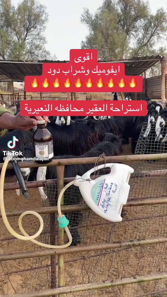 @mohamed_ksa0